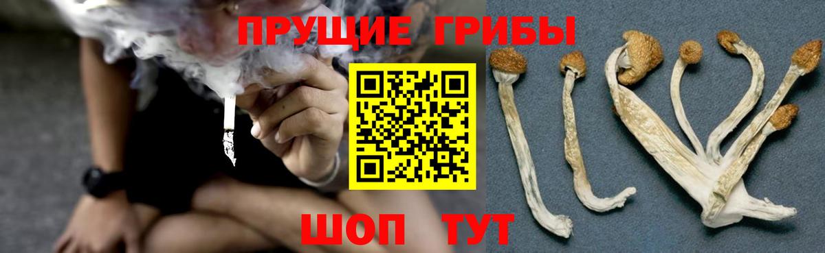 Усолье-Сибирское  Галлюциногенные грибы MAGIC MUSHROOMS  Вход с VPN 